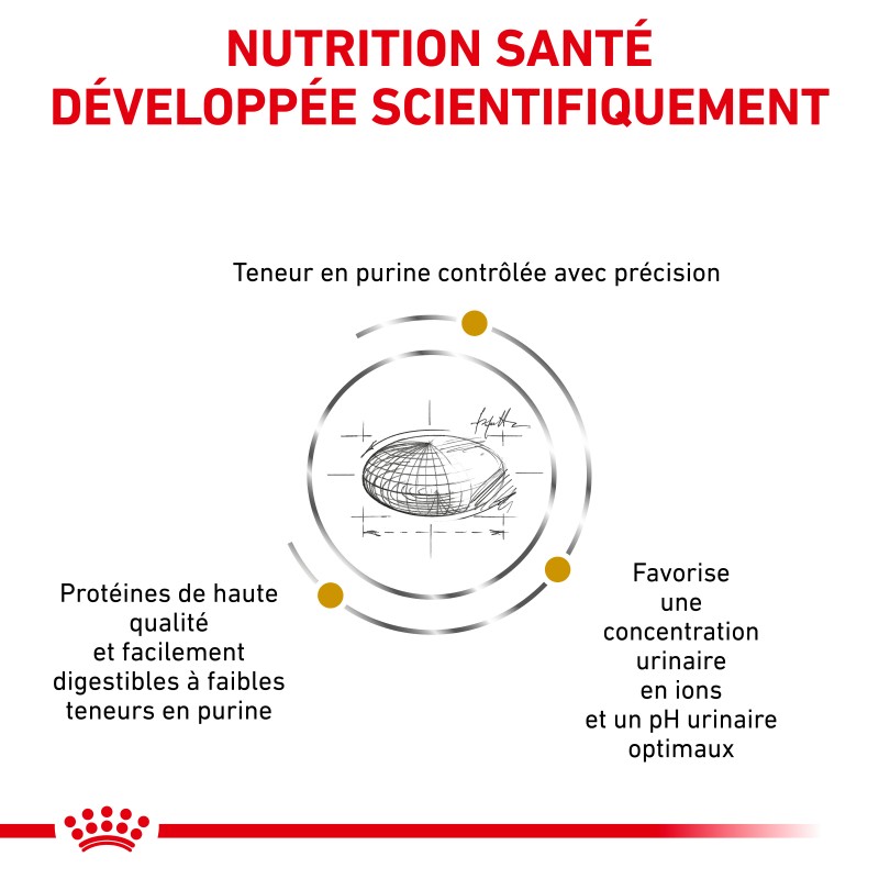 Urinary low outlet purine