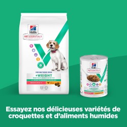 Vet Essentials Chien Multi-Benefit + Weight Adult1+ Boîte