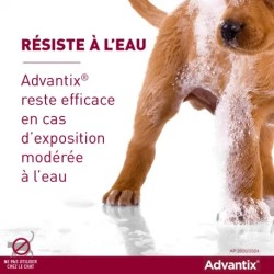 Advantix Chien Moyen 10-25 kg