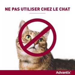 Advantix Chien Moyen 10-25 kg