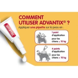 Advantix Chien Moyen 10-25 kg