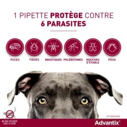 Advantix Chien Moyen 10-25 kg