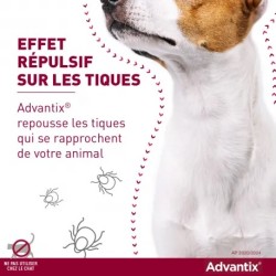 Advantix Chien Moyen 10-25 kg