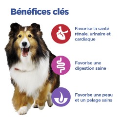 Vet Essentials Chien Multi-Benefit Adult1+ No Grain Medium Thon & Pommes de terre